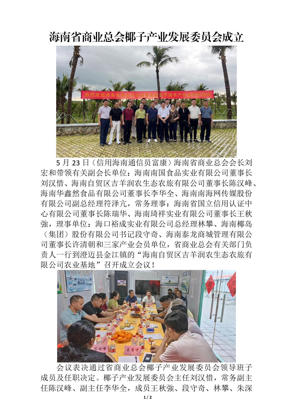 海南省商业总会椰子产业发展委员会成立(1)_page-0001.jpg